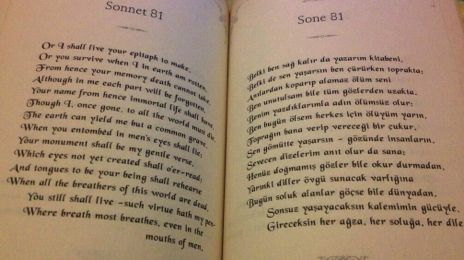 Bild-2 T S Halman Sonnet 81